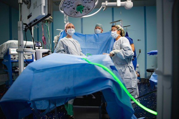 Minimally Invasive Cardiac Valve Repair